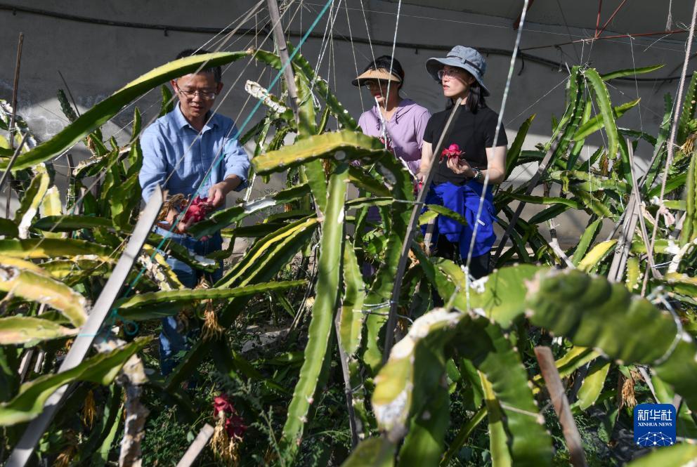 百老汇官网游戏